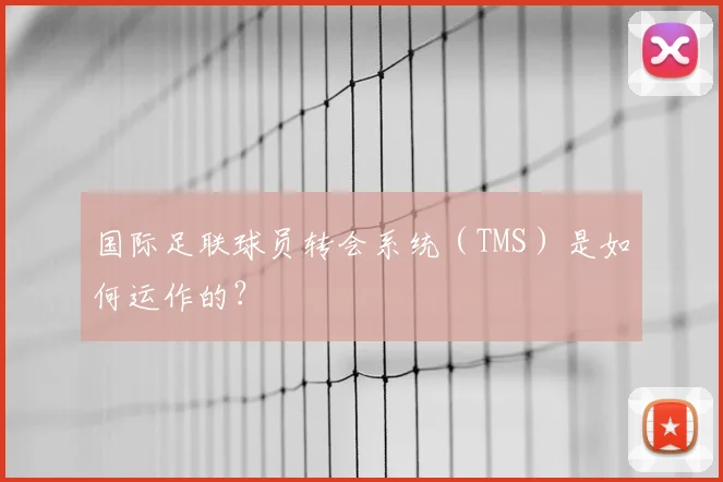 国际足联球员转会系统（TMS）是如何运作的？