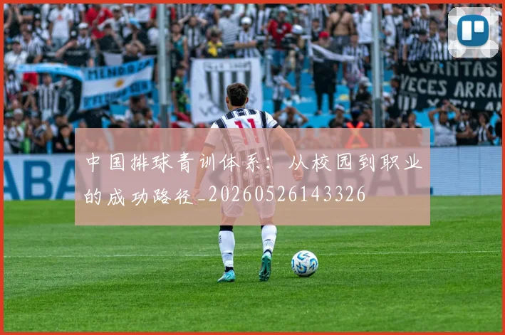 中国排球青训体系：从校园到职业的成功路径_20260526143326