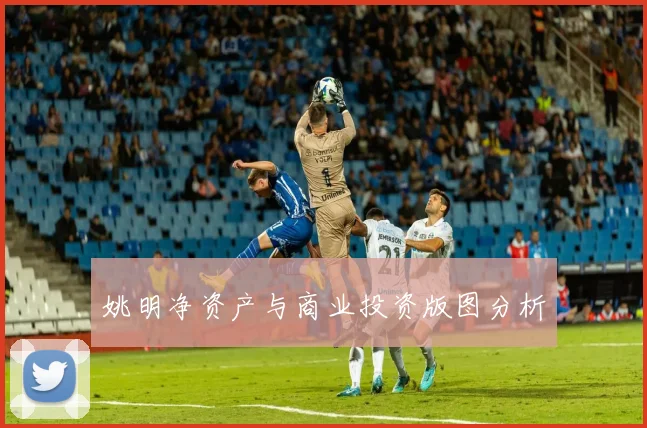 姚明净资产与商业投资版图分析