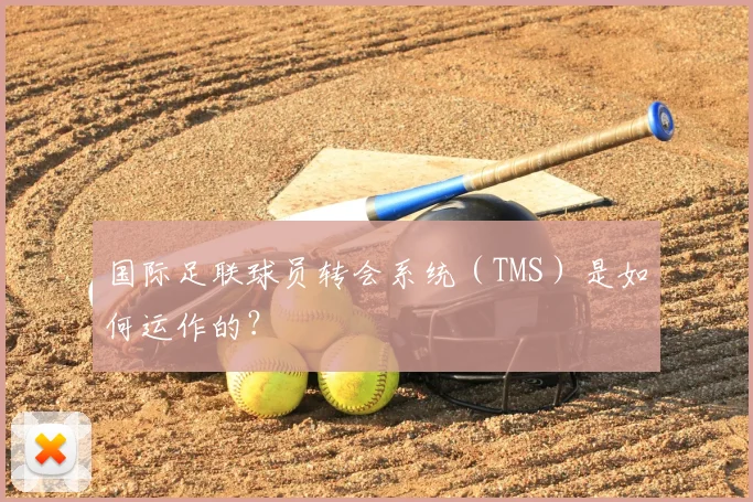 国际足联球员转会系统（TMS）是如何运作的？