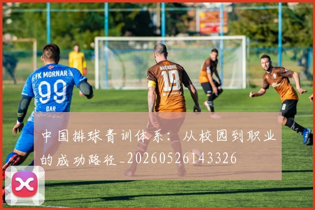 中国排球青训体系：从校园到职业的成功路径_20260526143326